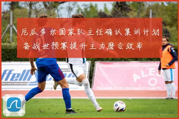 厄瓜多尔国家队主任确认集训计划 备战世预赛提升主力磨合效率