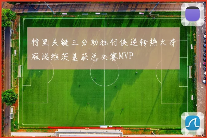 特里关键三分助独行侠逆转热火夺冠诺维茨基获总决赛MVP