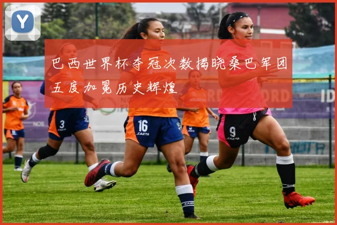 巴西世界杯夺冠次数揭晓桑巴军团五度加冕历史辉煌