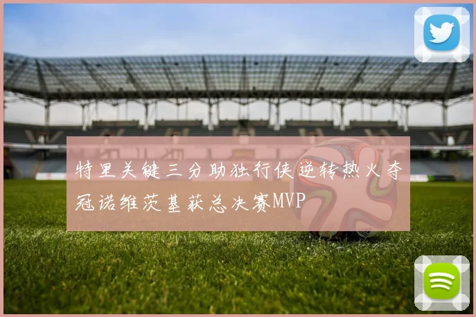 特里关键三分助独行侠逆转热火夺冠诺维茨基获总决赛MVP