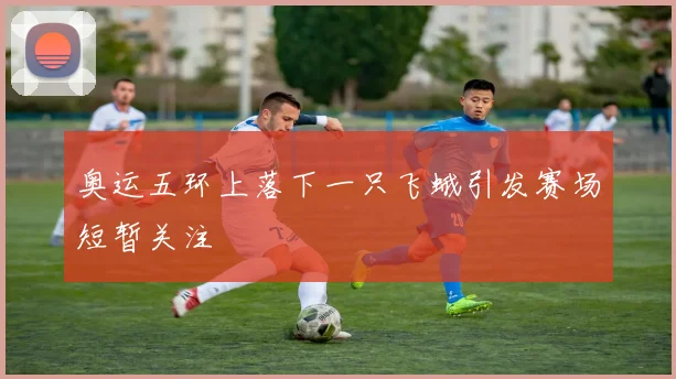 奥运五环上落下一只飞蛾引发赛场短暂关注