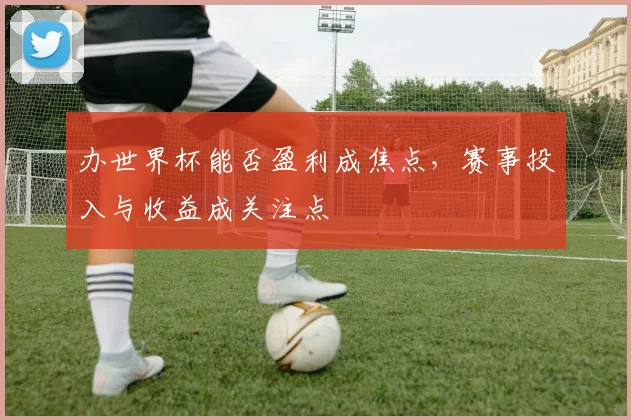 办世界杯能否盈利成焦点，赛事投入与收益成关注点