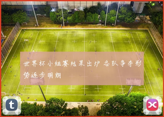 世界杯小组赛结果出炉 各队争夺形势逐步明朗