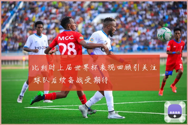 比利时上届世界杯表现回顾引关注 球队后续备战受期待